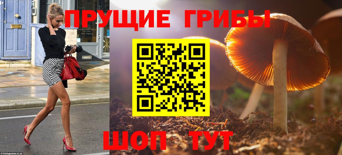 Баксан  Псилоцибиновые грибы ЛСД  Вход с VPN 